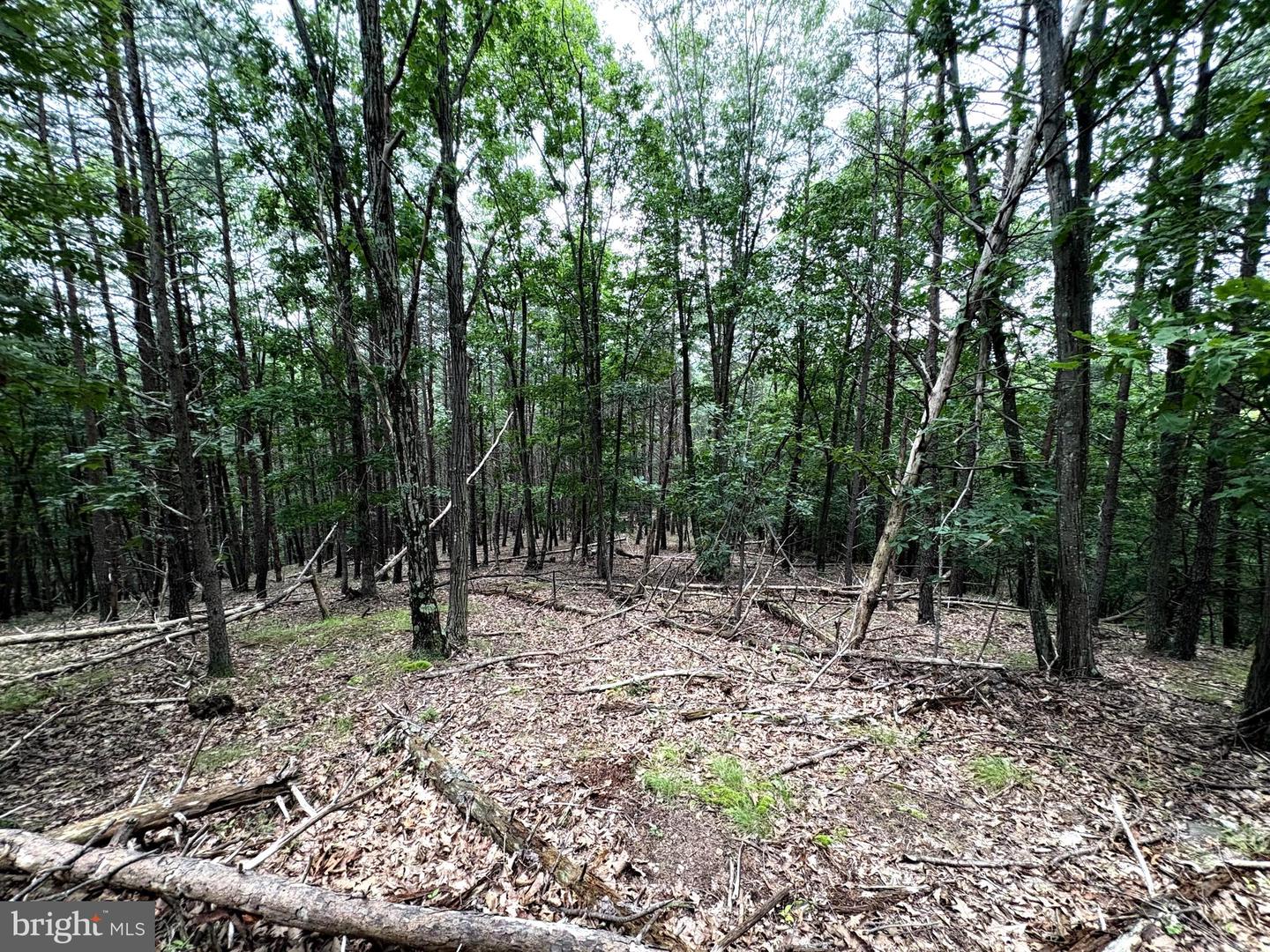 Lot 126 Bluffs Blue Beach Road Property Photo 15