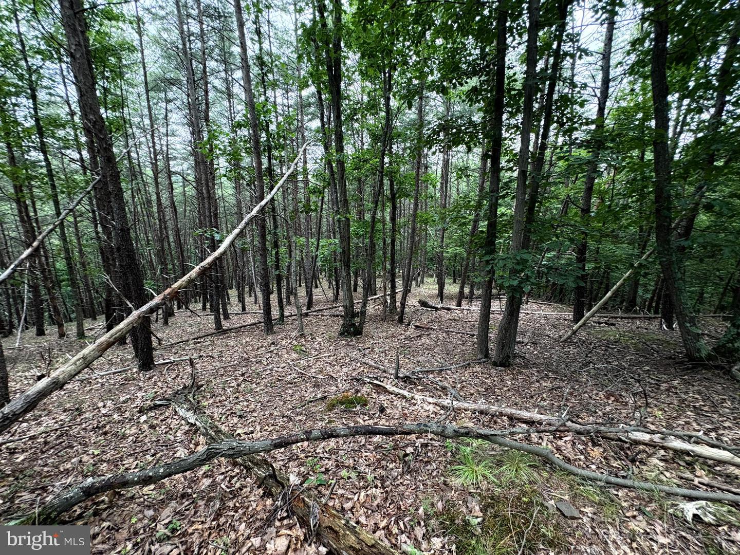 Lot 126 Bluffs Blue Beach Road Property Photo 16