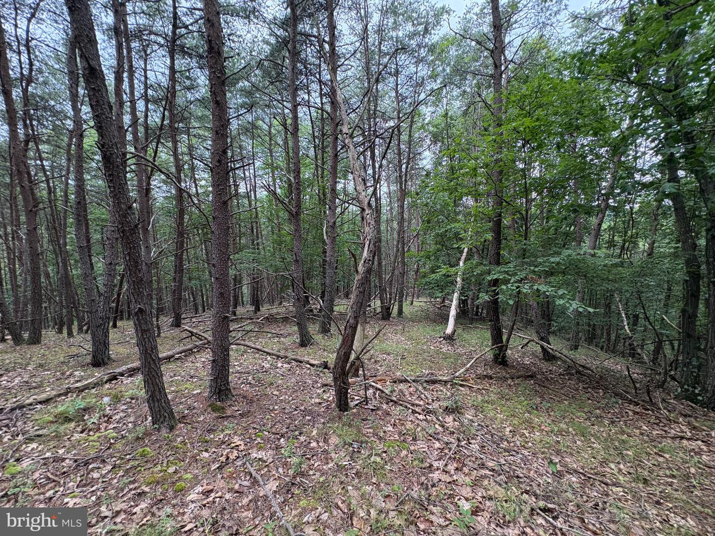 Lot 126 Bluffs Blue Beach Road Property Photo 17