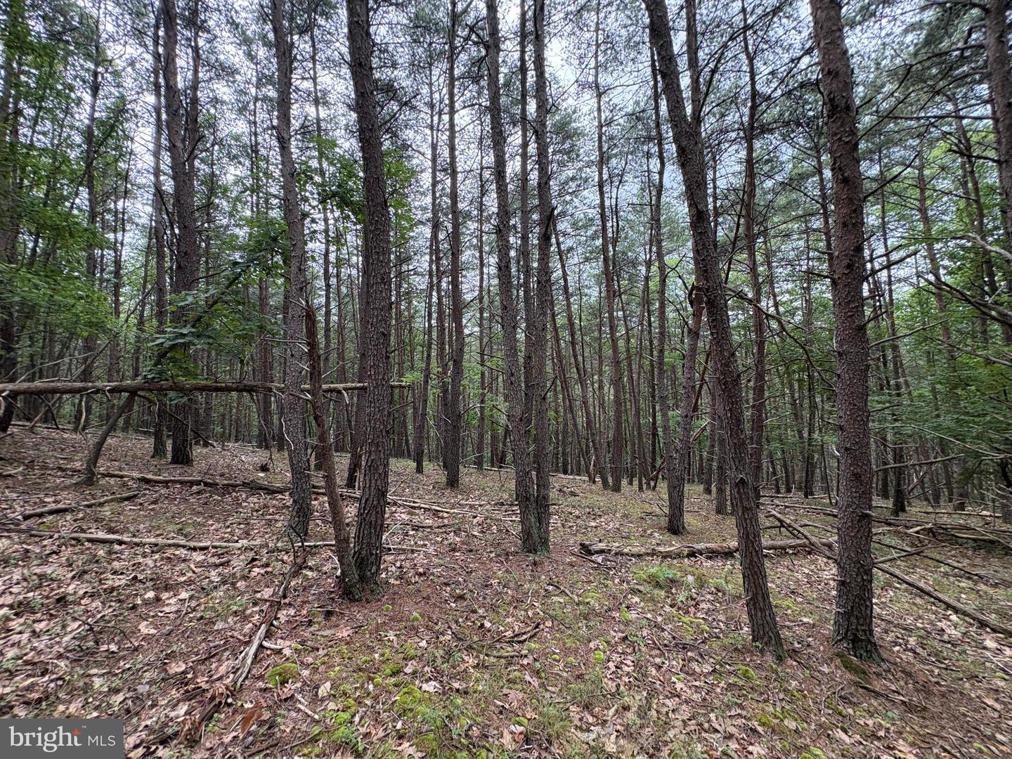 Lot 126 Bluffs Blue Beach Road Property Photo 18
