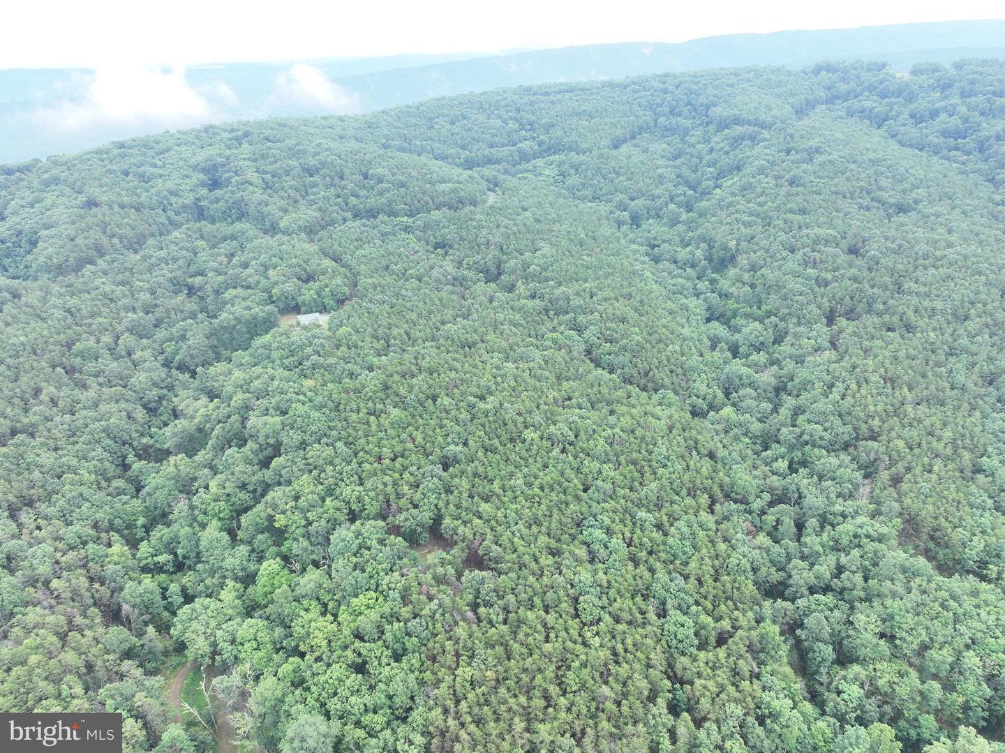 Lot 126 Bluffs Blue Beach Road Property Photo 20