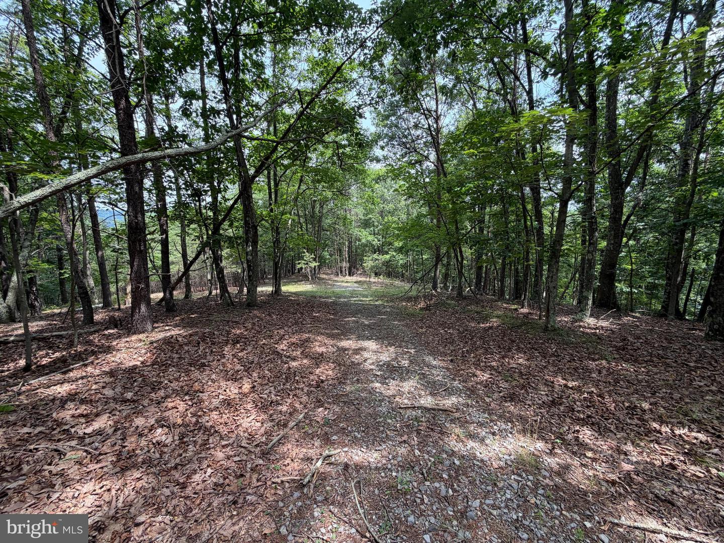 14 Shadow Knolls Property Photo 10