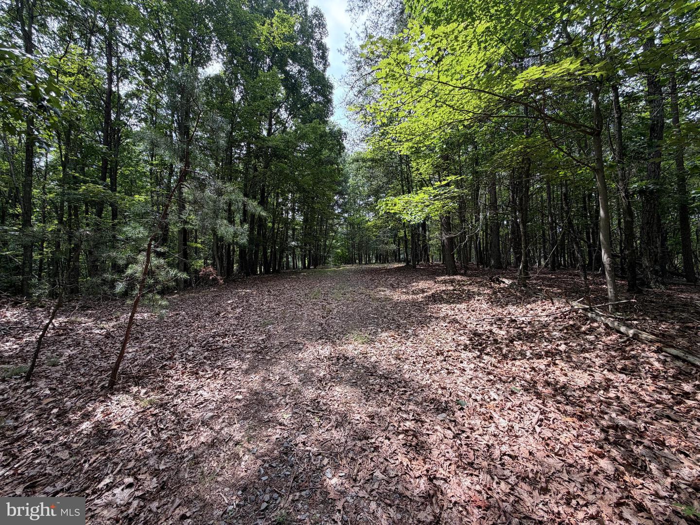 14 Shadow Knolls Property Photo 11