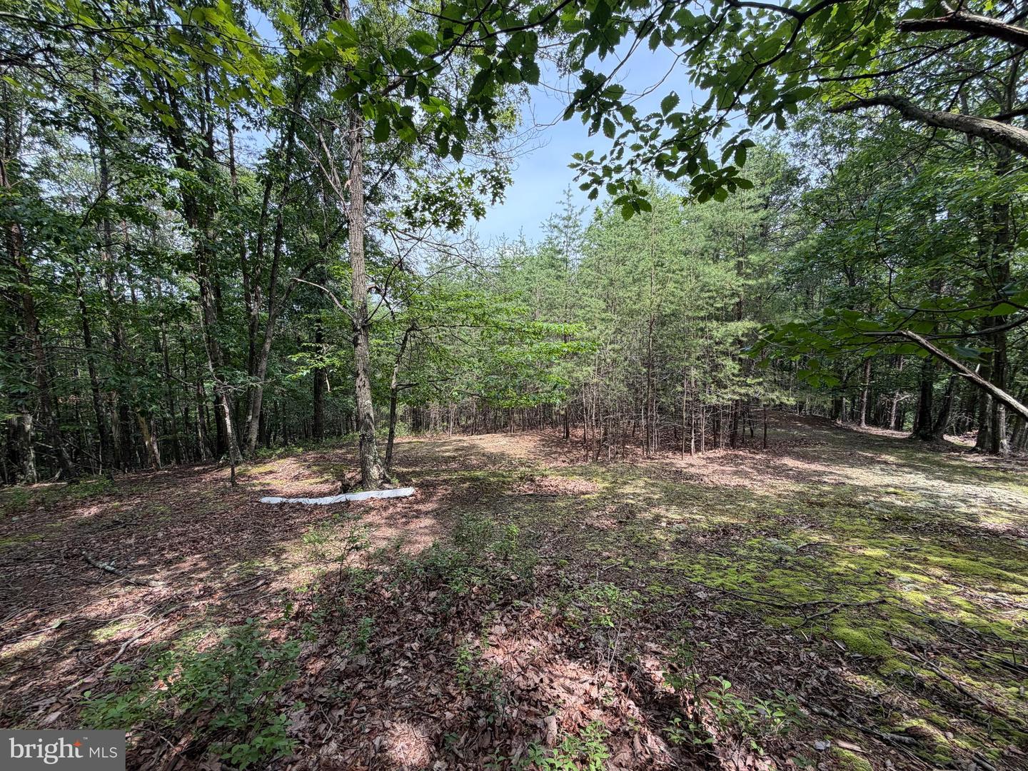 14 Shadow Knolls Property Photo 12