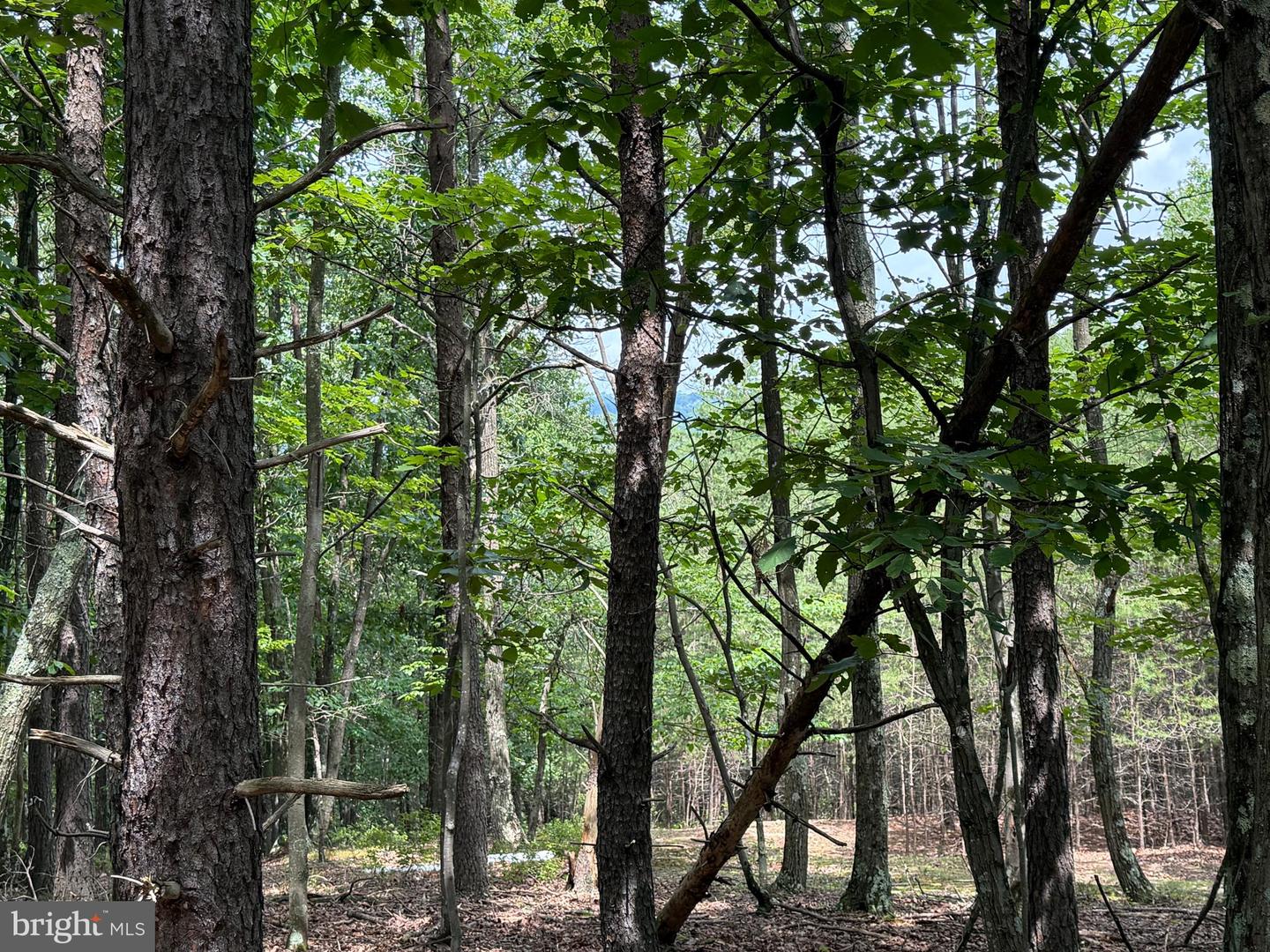 14 Shadow Knolls Property Photo 13