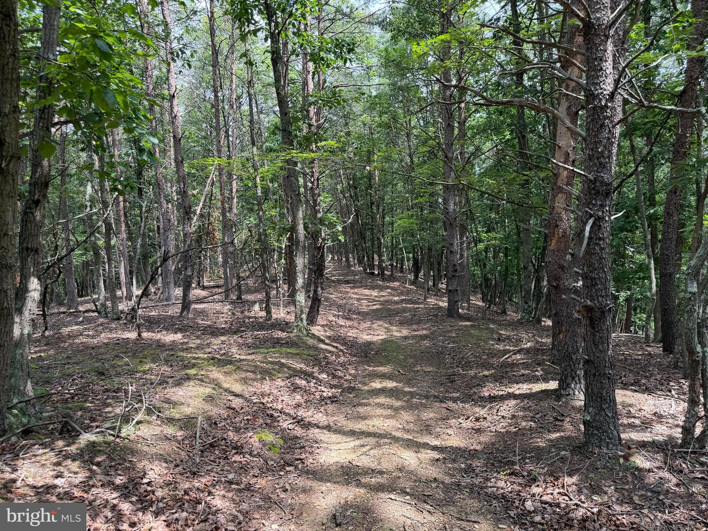 14 Shadow Knolls Property Photo 14