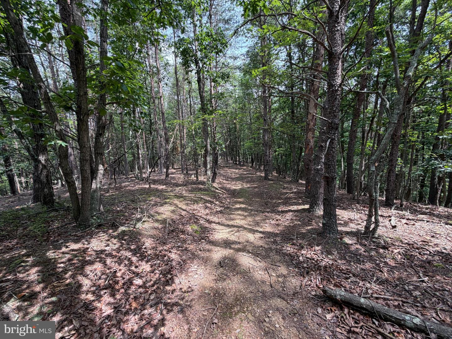 14 Shadow Knolls Property Photo 15