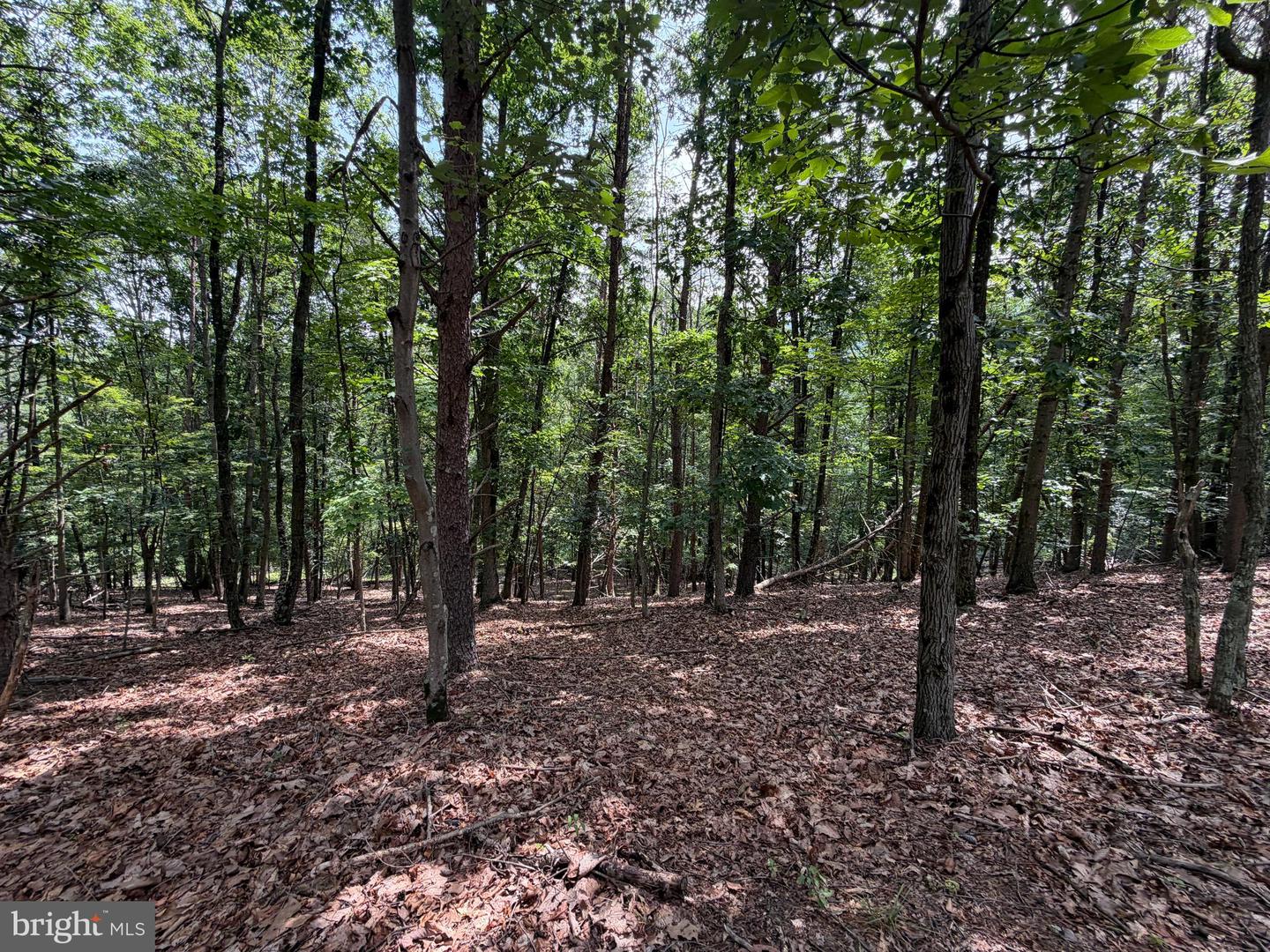 14 Shadow Knolls Property Photo 16