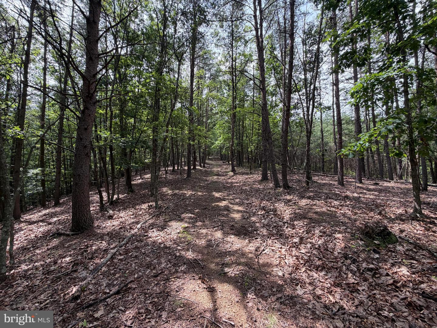 14 Shadow Knolls Property Photo 17