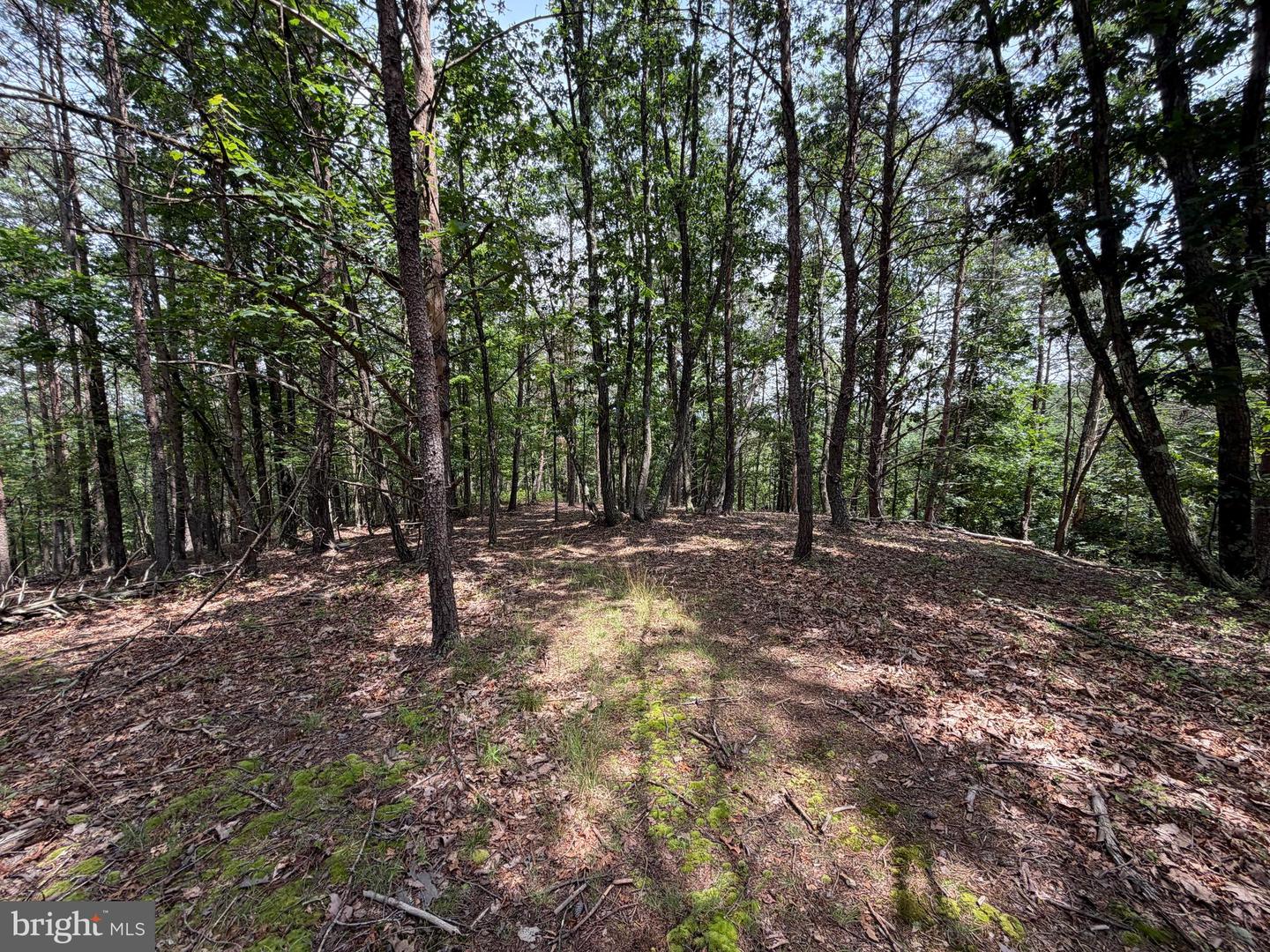 14 Shadow Knolls Property Photo 18