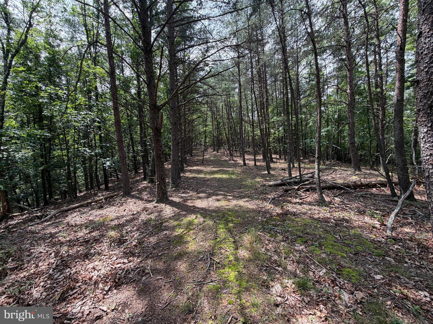 14 Shadow Knolls Property Photo 19