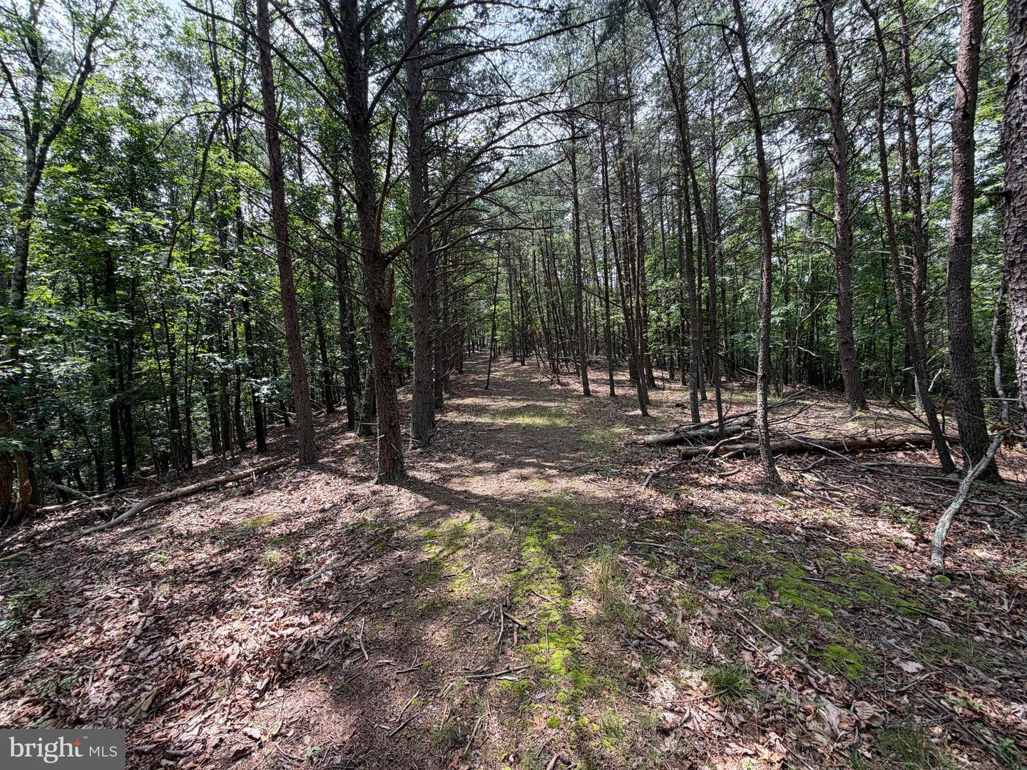 14 Shadow Knolls Property Photo 20