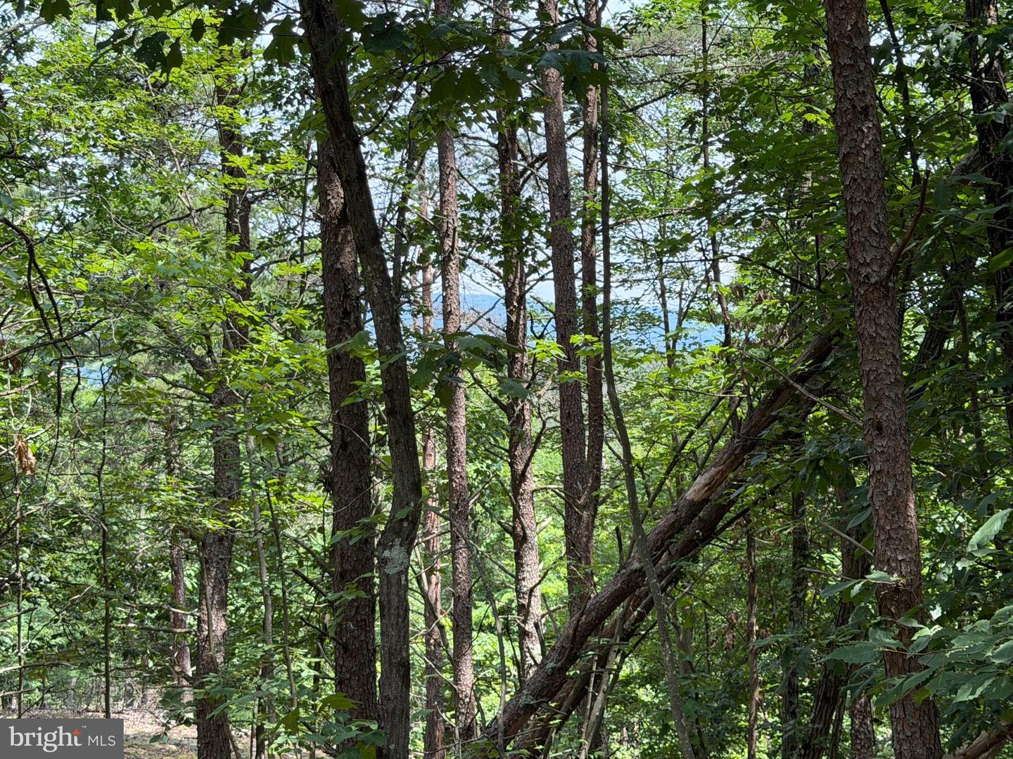 14 Shadow Knolls Property Photo 21