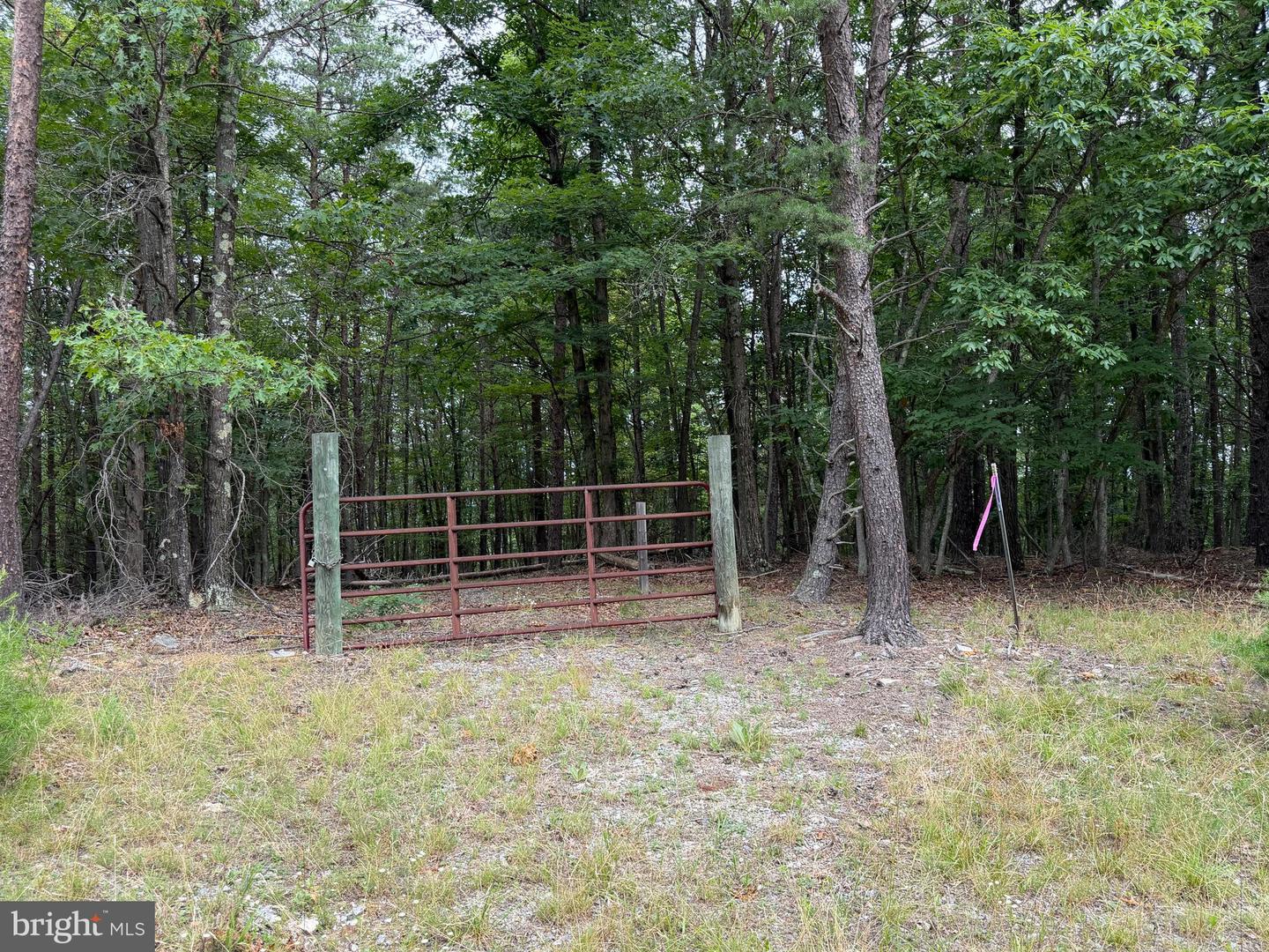 14 Shadow Knolls Property Photo 23