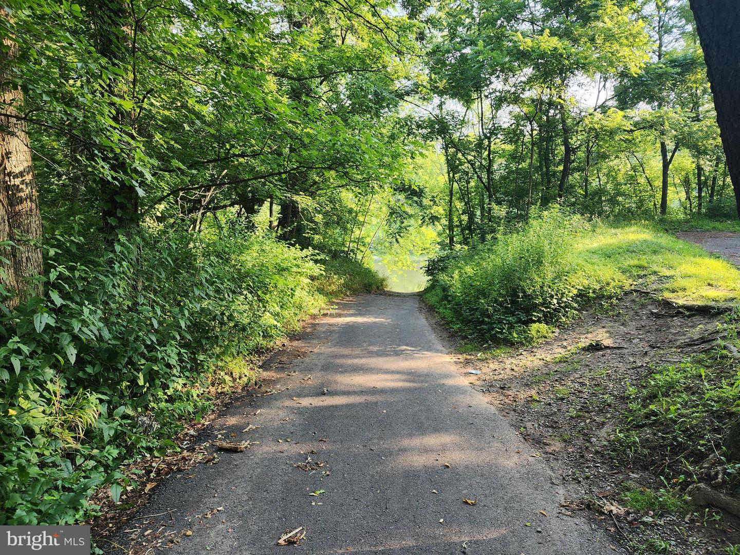 14 Shadow Knolls Property Photo 29