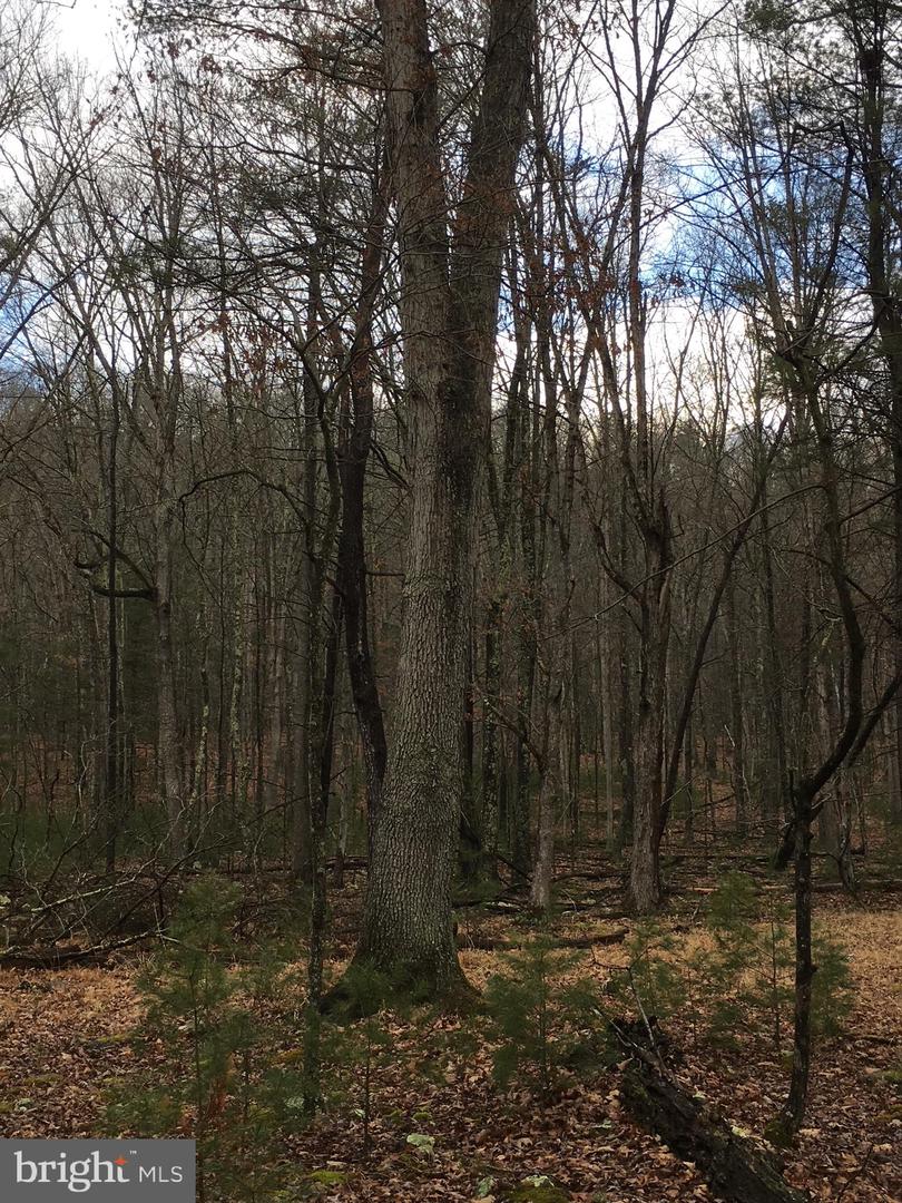 Lot 88 Orndorff Way Property Photo 6