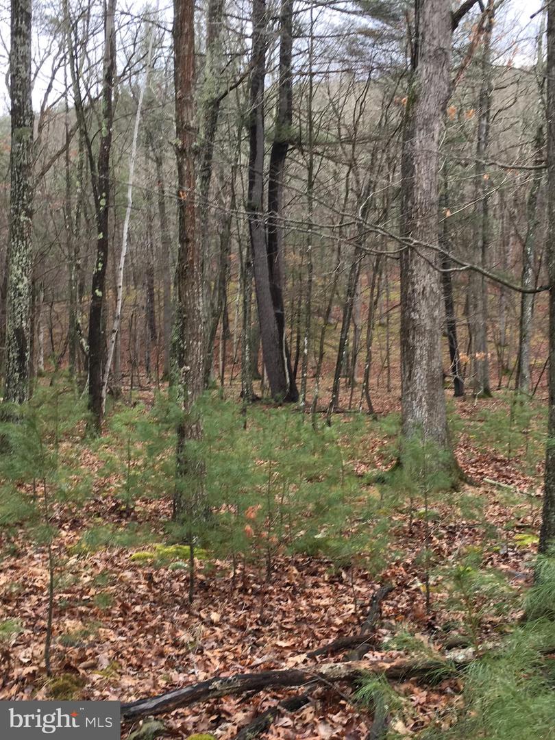 Lot 88 Orndorff Way Property Photo 7