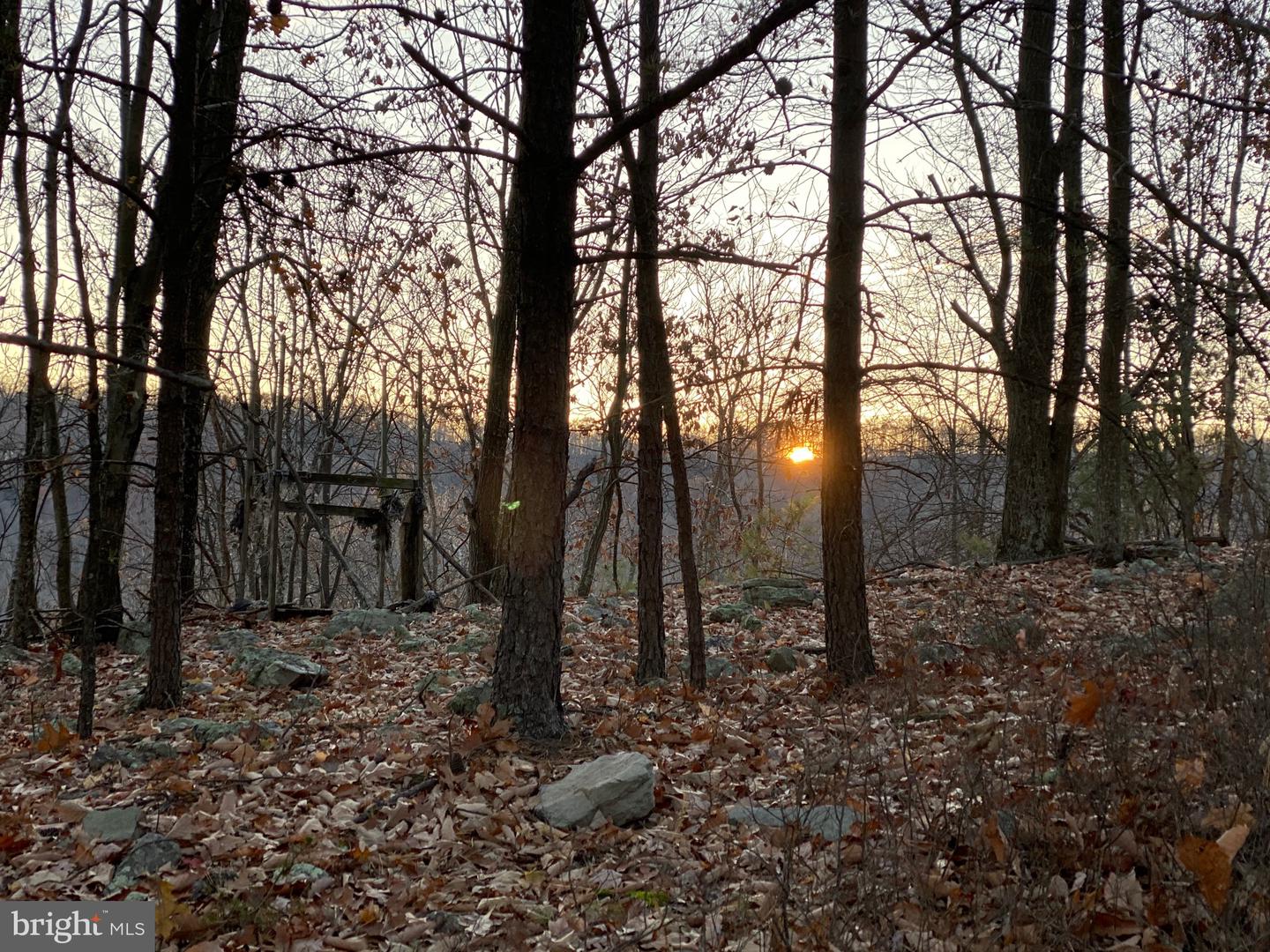 Lot 88 Orndorff Way Property Photo 9