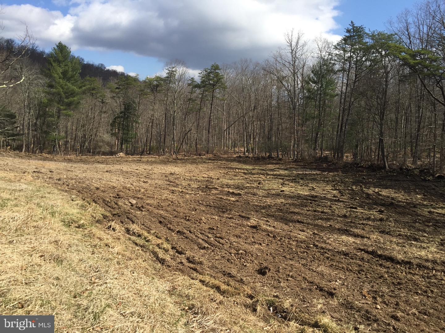 Lot 88 Orndorff Way Property Photo 10