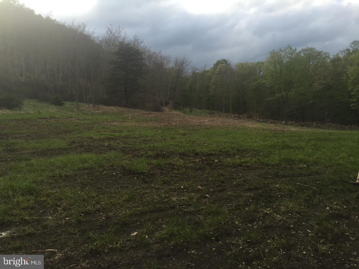 Lot 88 Orndorff Way Property Photo 11