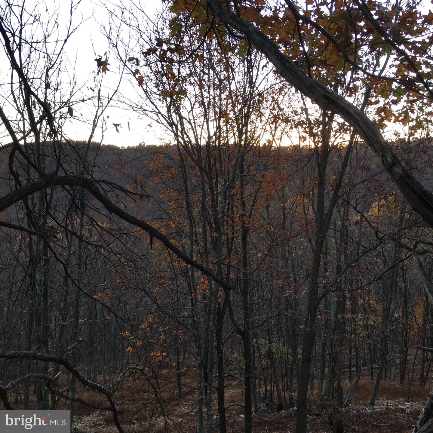 Lot 88 Orndorff Way Property Photo 12
