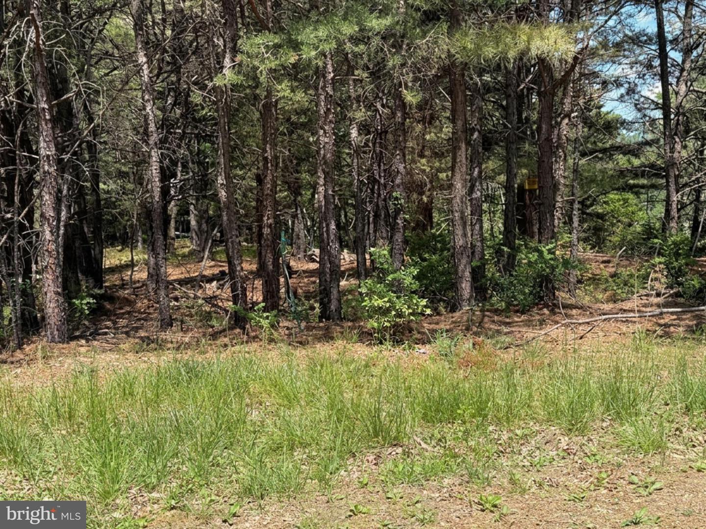 Lot 89 Orndorff Way Property Photo 1