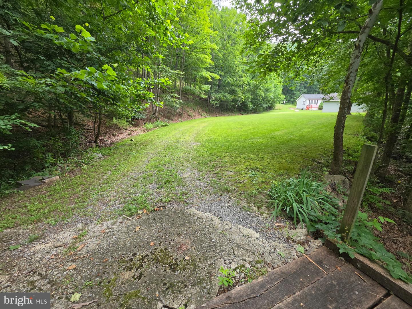 1981 Buffalo Hollow Rd Property Photo 2