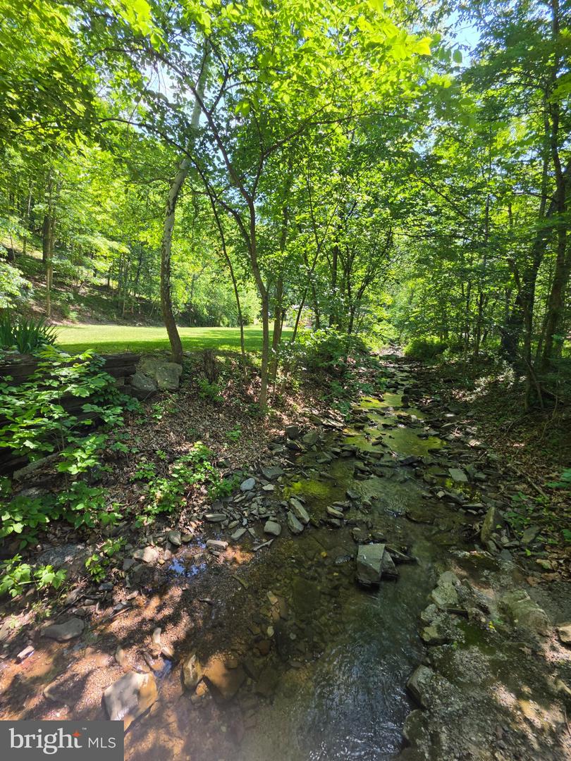 1981 Buffalo Hollow Rd Property Photo 3
