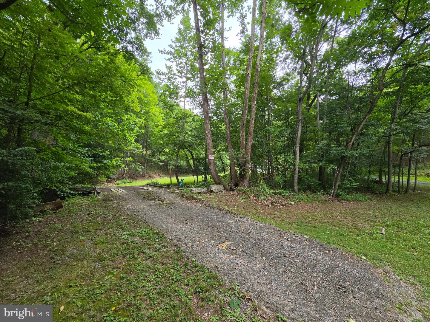 1981 Buffalo Hollow Rd Property Photo 4