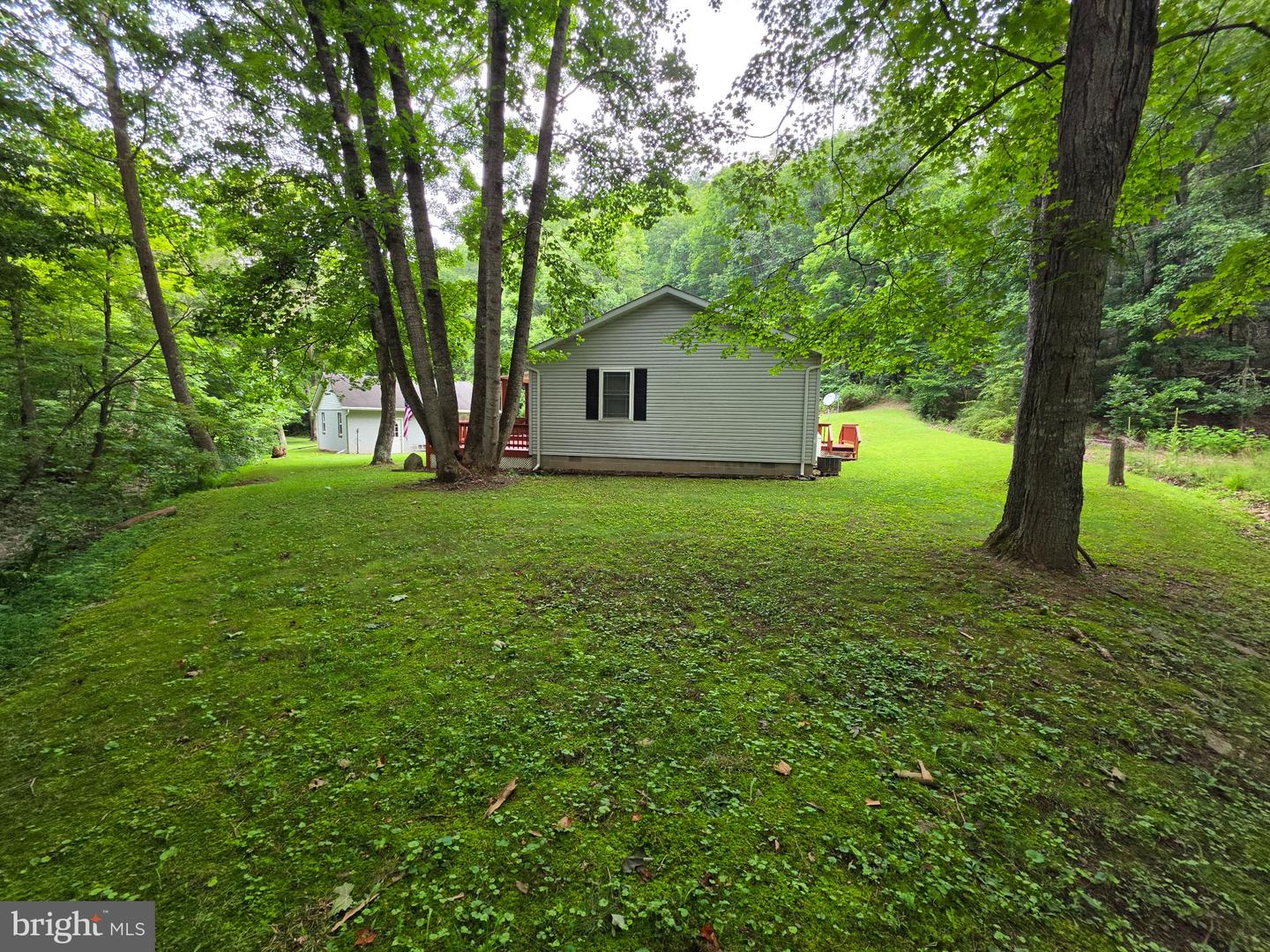 1981 Buffalo Hollow Rd Property Photo 15