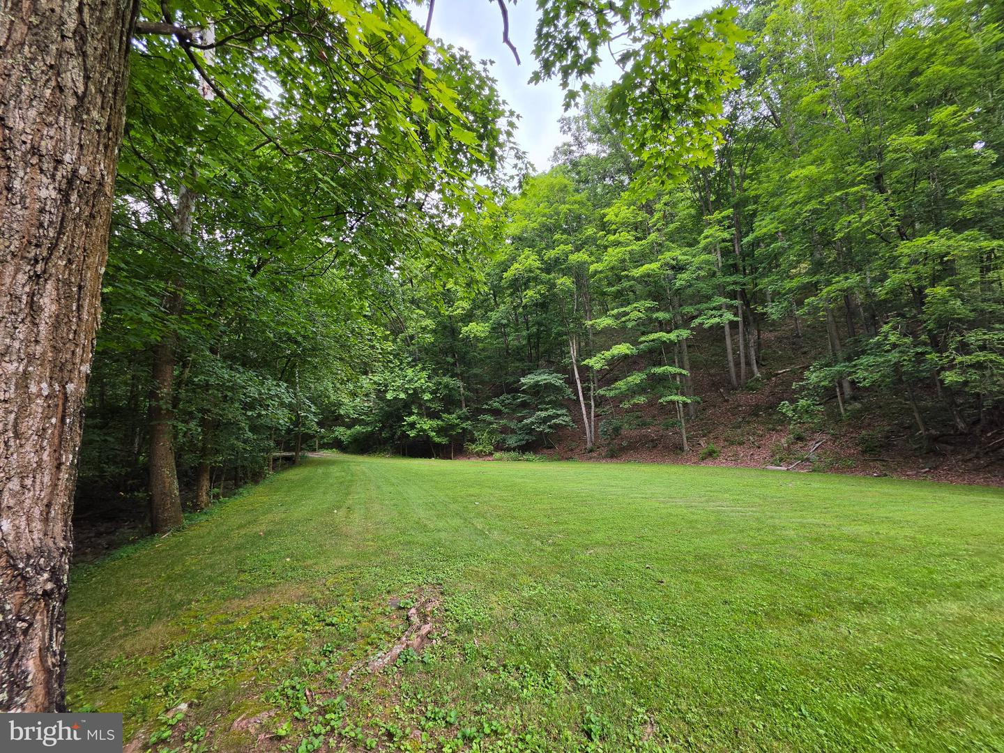 1981 Buffalo Hollow Rd Property Photo 63