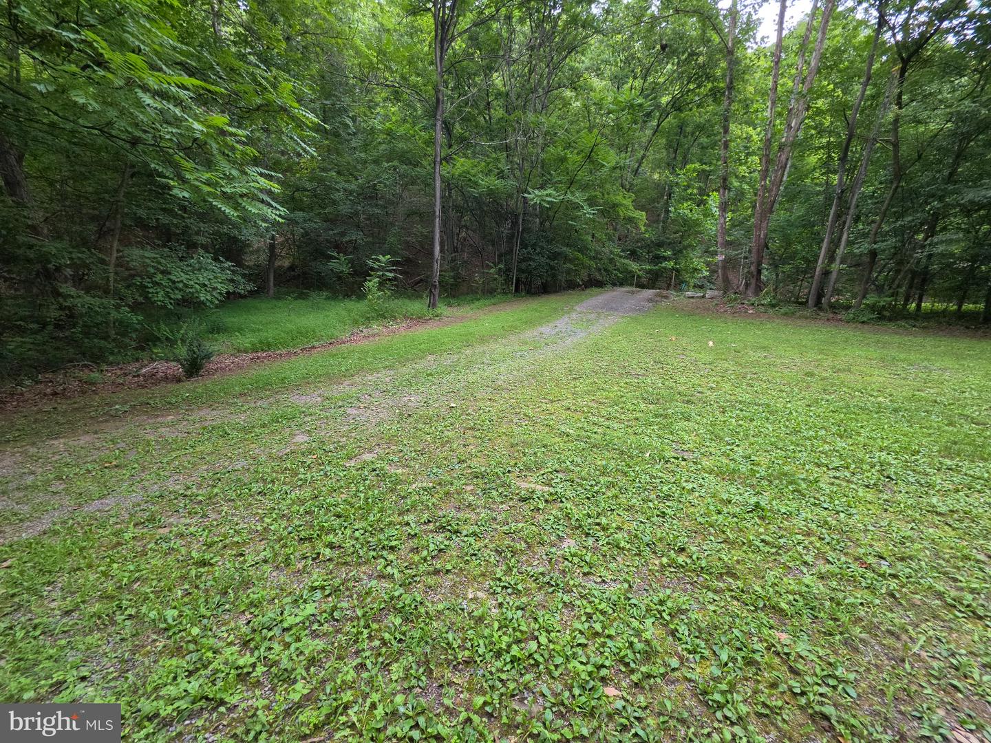 1981 Buffalo Hollow Rd Property Photo 64