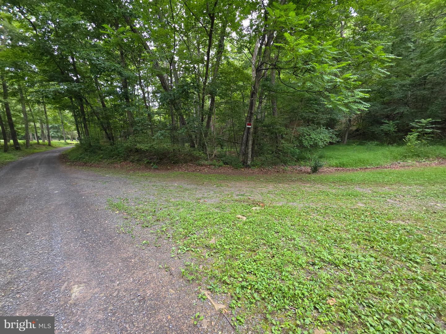 1981 Buffalo Hollow Rd Property Photo 65