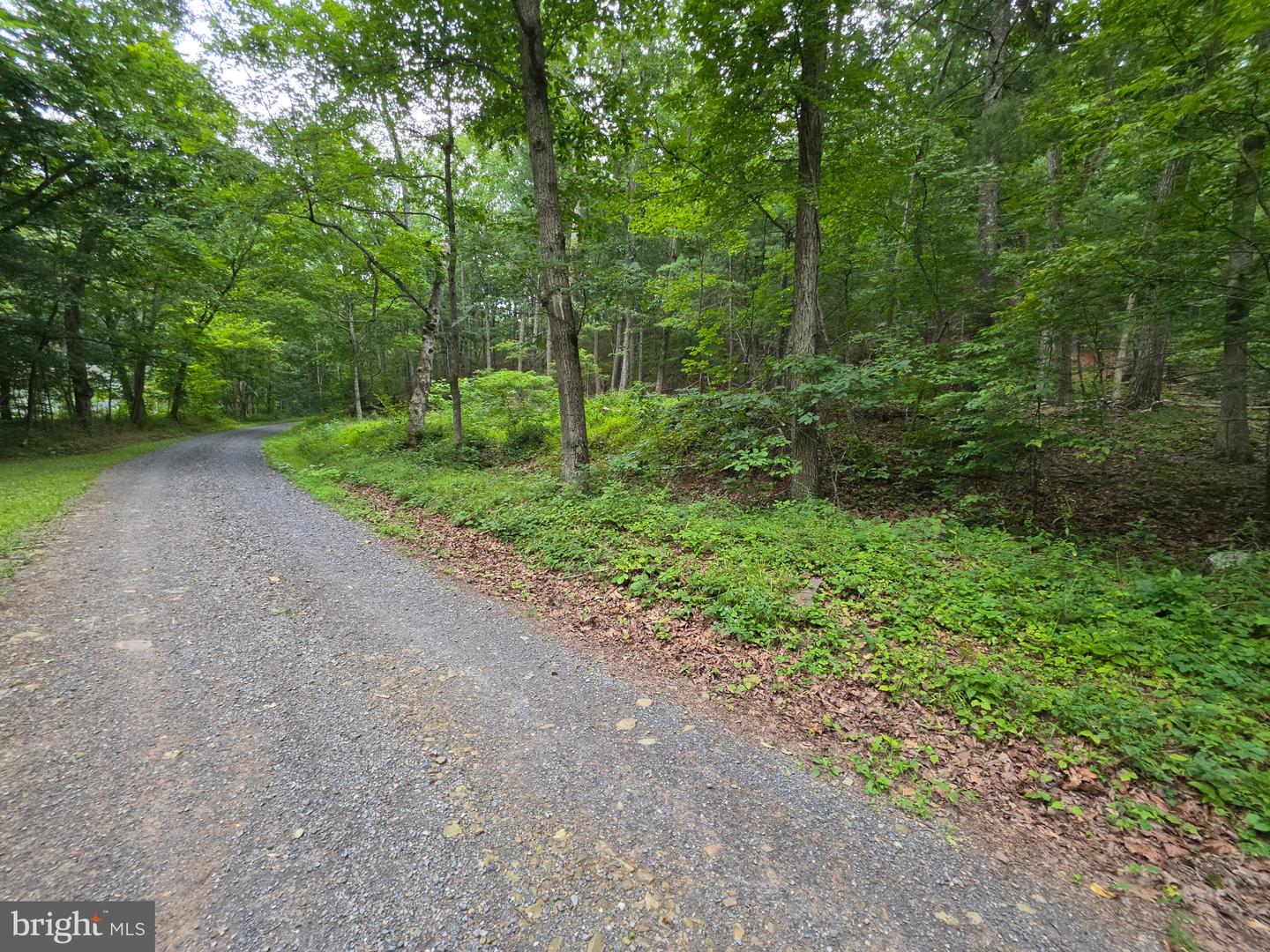 1981 Buffalo Hollow Rd Property Photo 66