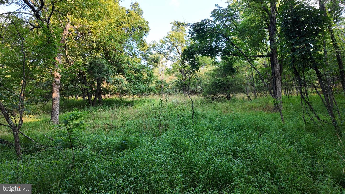 Lot 203 Graces Cabin Rd Property Photo 2