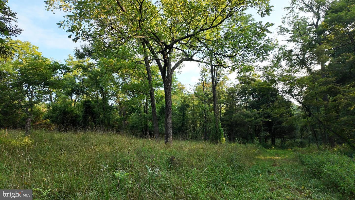Lot 203 Graces Cabin Rd Property Photo 3