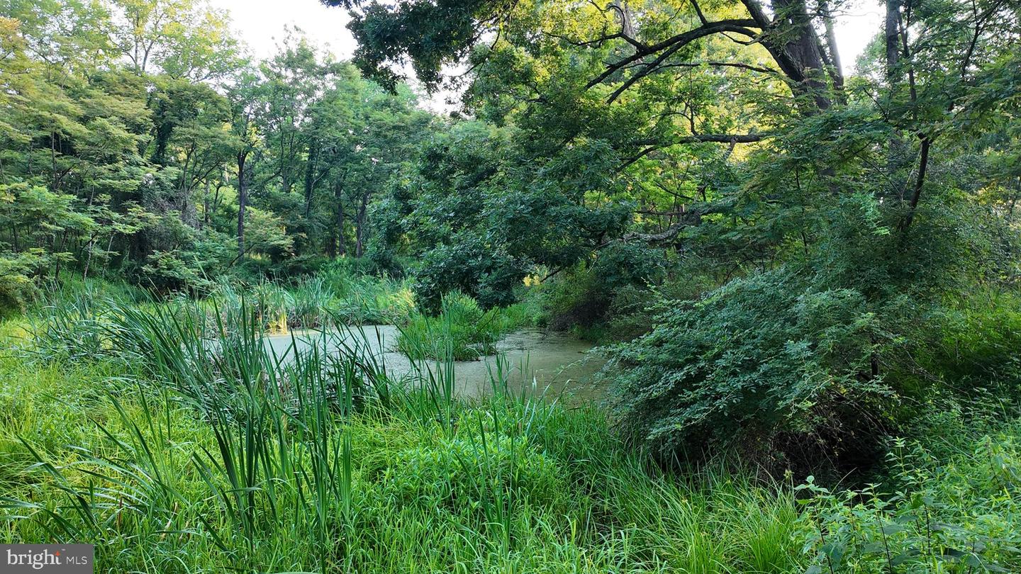 Lot 203 Graces Cabin Rd Property Photo 4