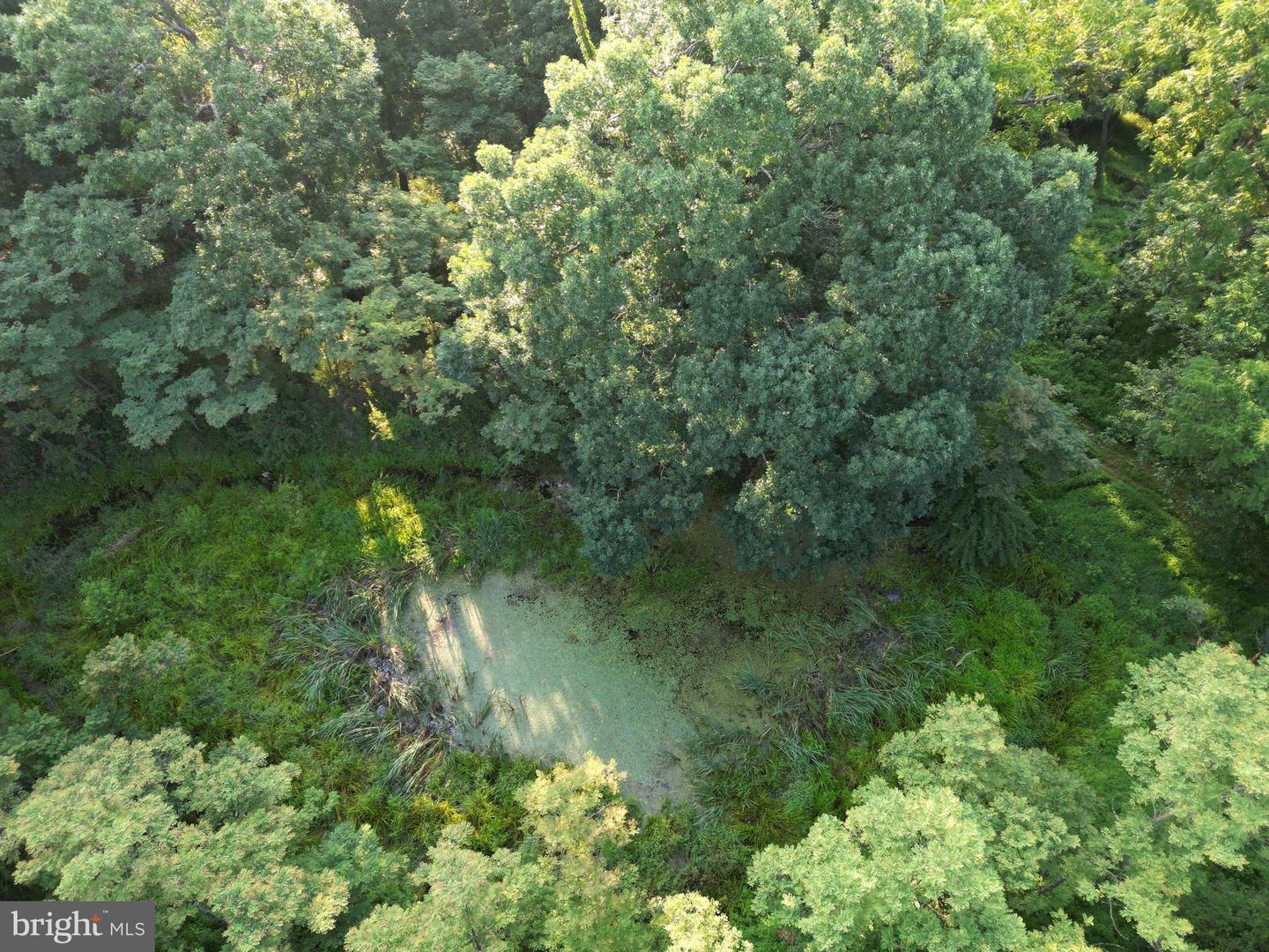 Lot 203 Graces Cabin Rd Property Photo 5