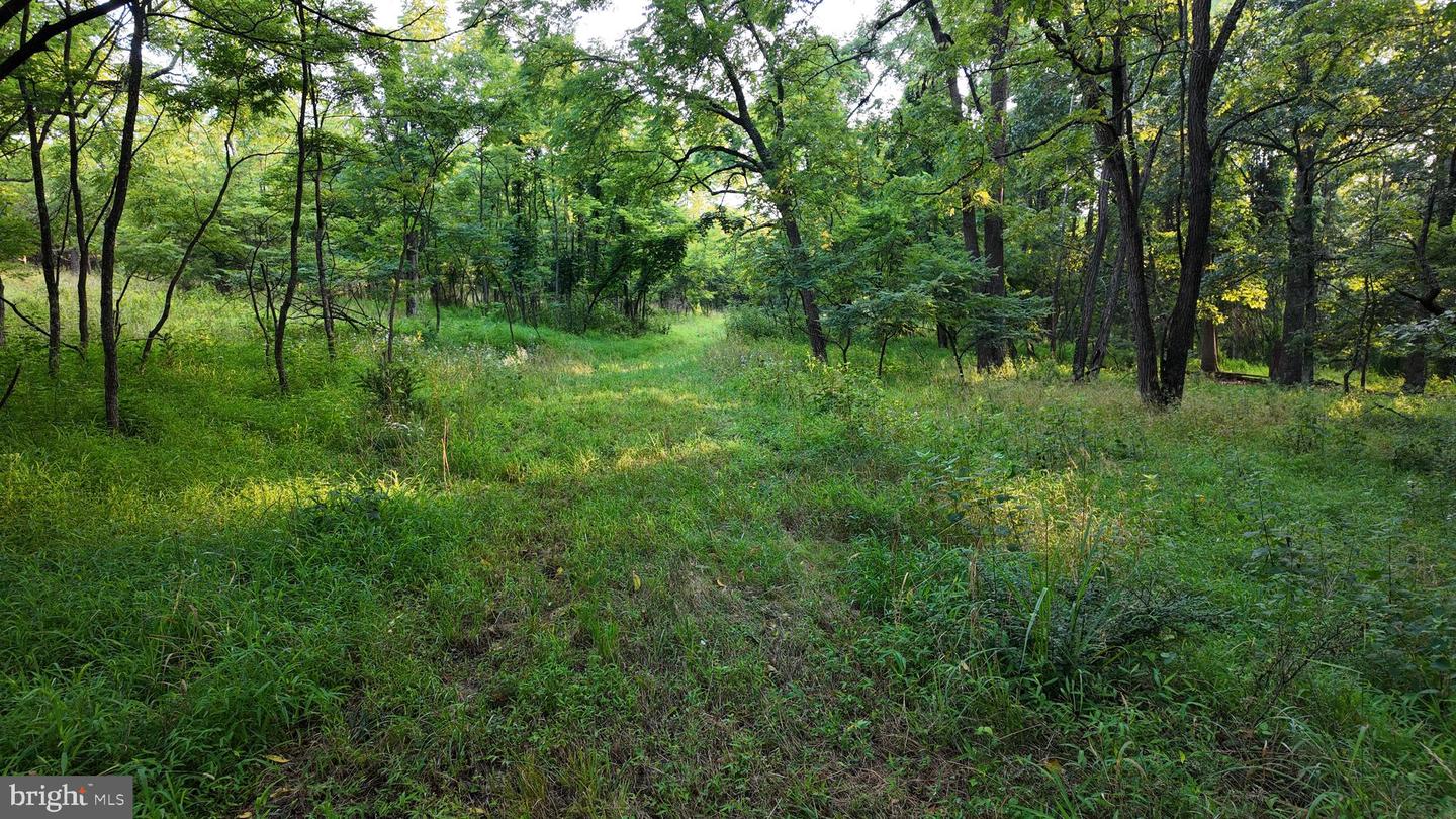 Lot 203 Graces Cabin Rd Property Photo 7