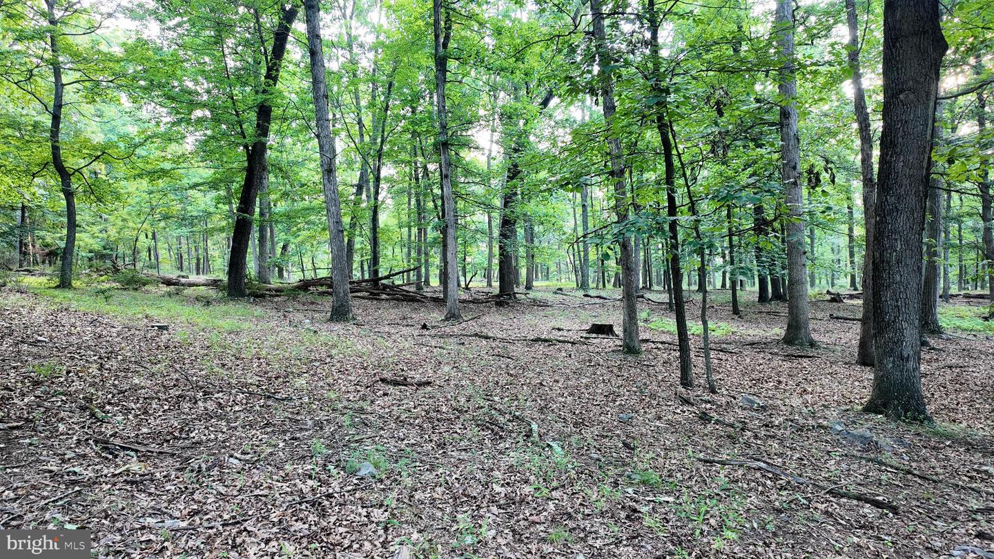 Lot 203 Graces Cabin Rd Property Photo 8