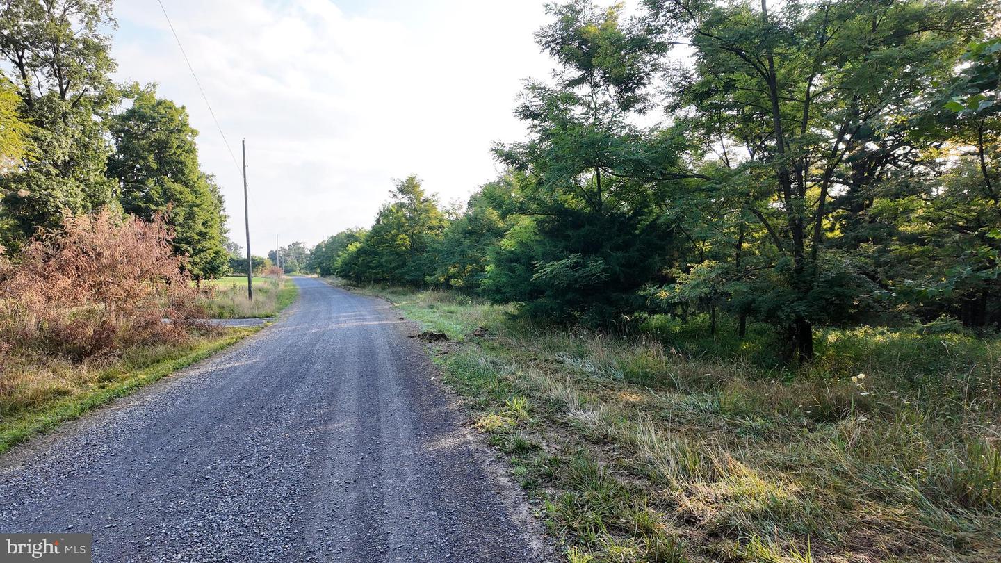 Lot 203 Graces Cabin Rd Property Photo 11