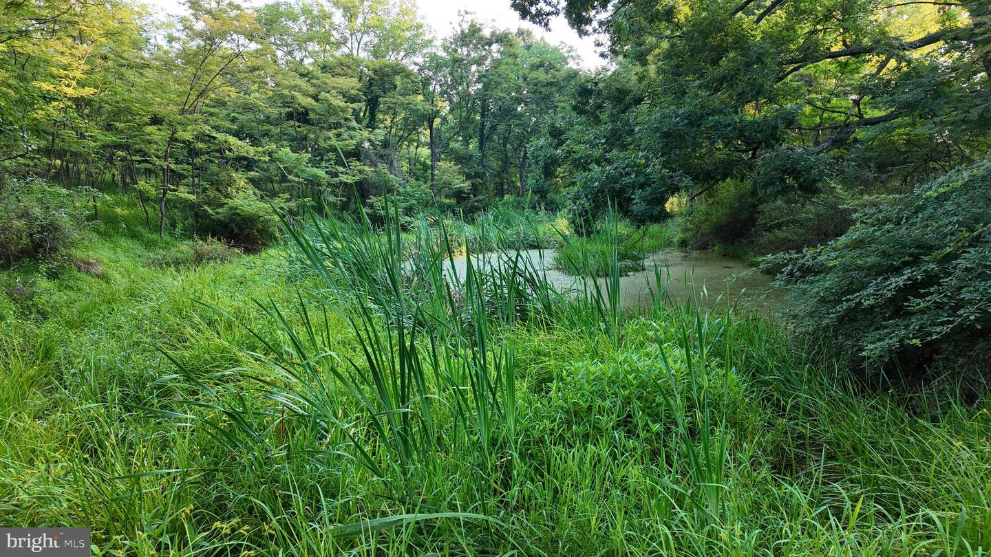 Lot 203 Graces Cabin Rd Property Photo 12