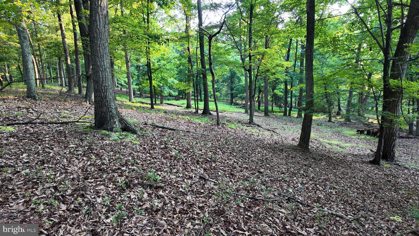 Lot 203 Graces Cabin Rd Property Photo 14