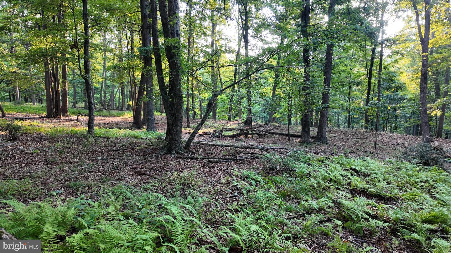 Lot 203 Graces Cabin Rd Property Photo 15