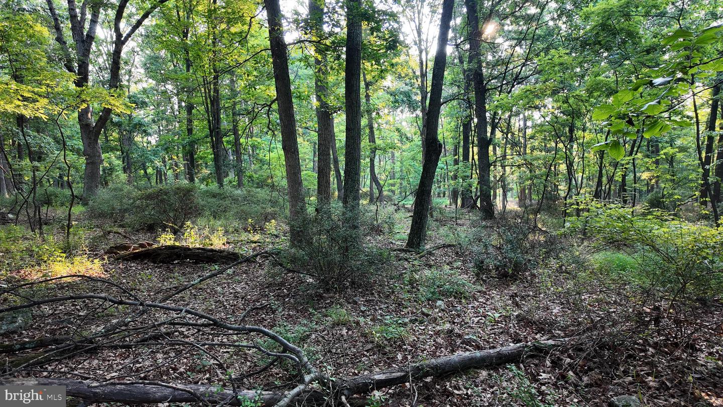 Lot 203 Graces Cabin Rd Property Photo 16