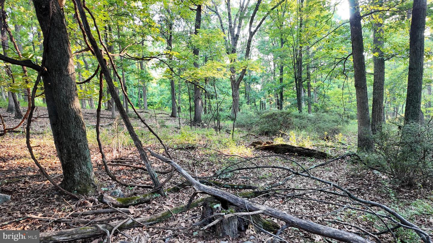 Lot 203 Graces Cabin Rd Property Photo 17
