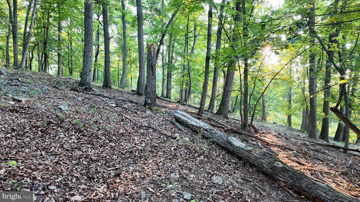 Lot 203 Graces Cabin Rd Property Photo 22