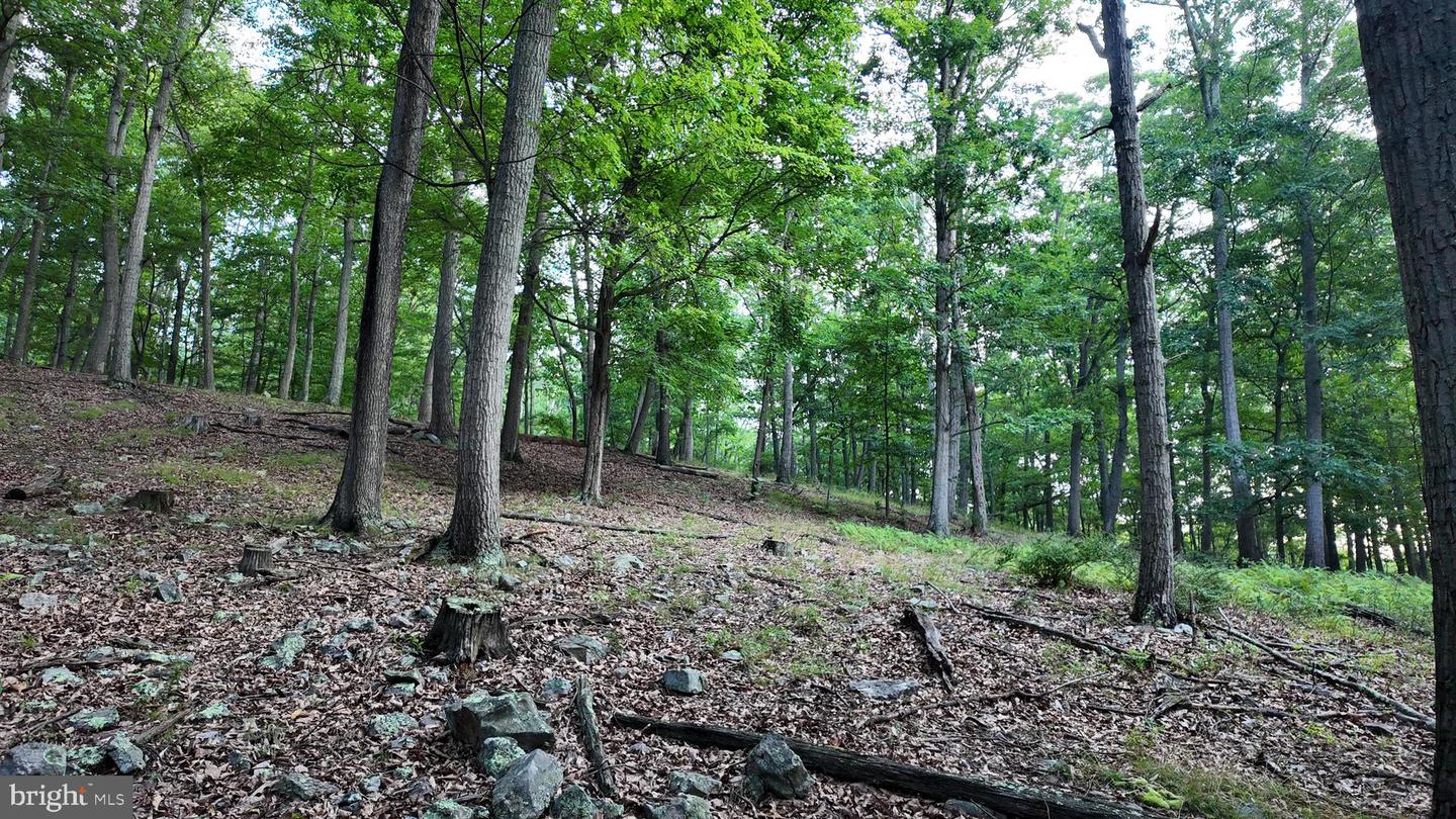 Lot 203 Graces Cabin Rd Property Photo 23