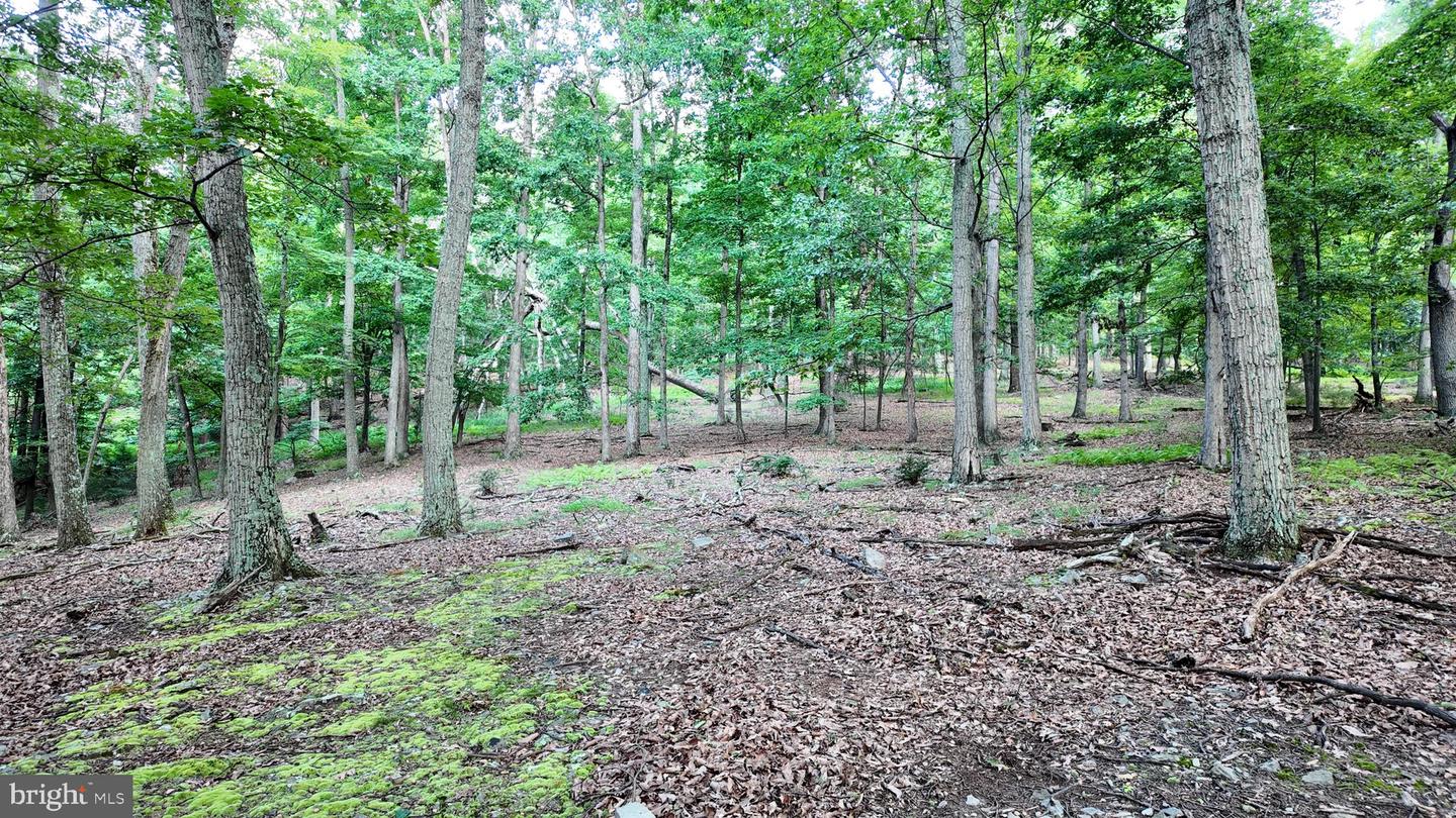 Lot 203 Graces Cabin Rd Property Photo 24