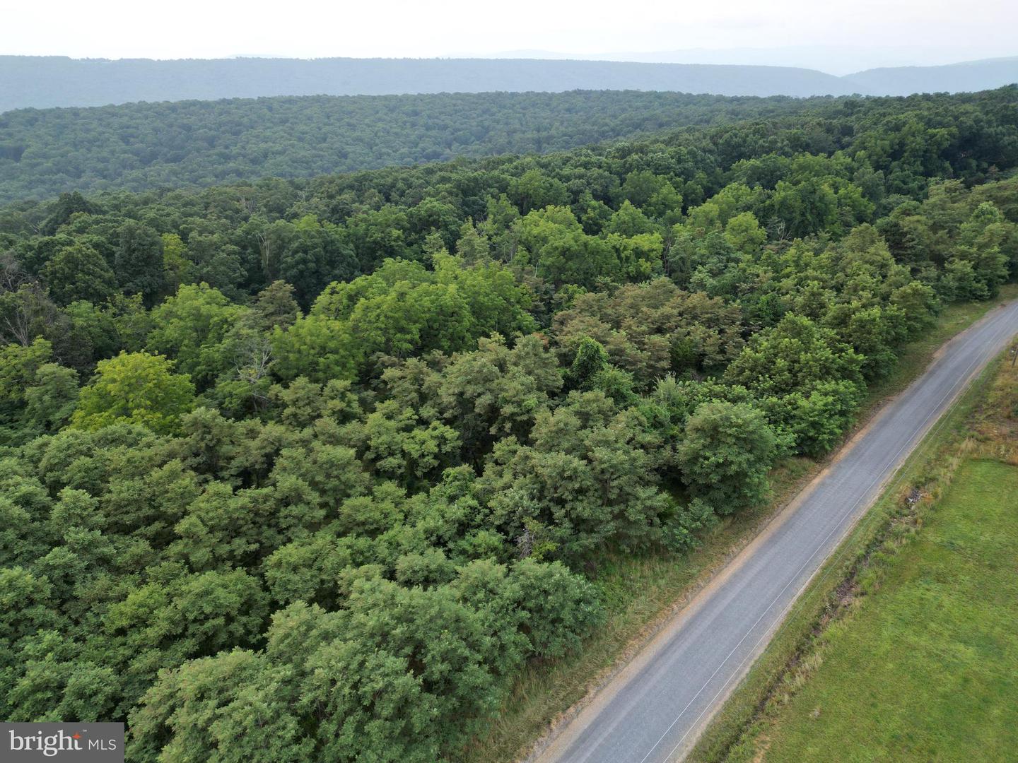 Lot 203 Graces Cabin Rd Property Photo 29